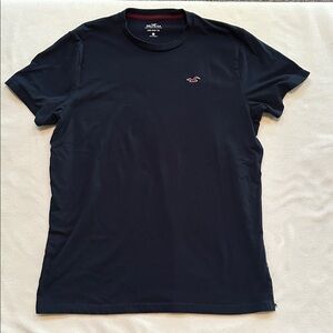 Hollister Tee L